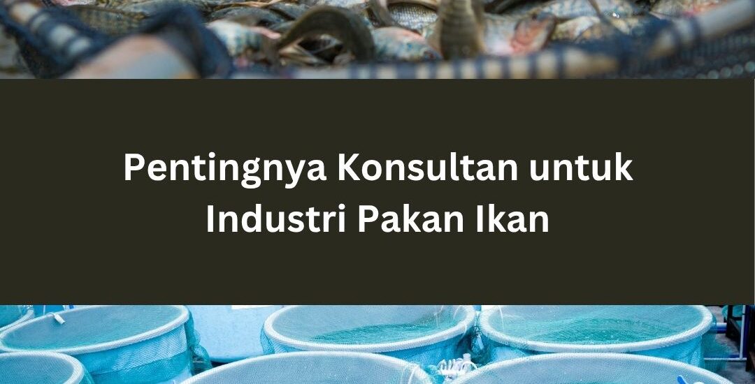 Pentingnya Konsultan untuk Industri Pakan Ikan