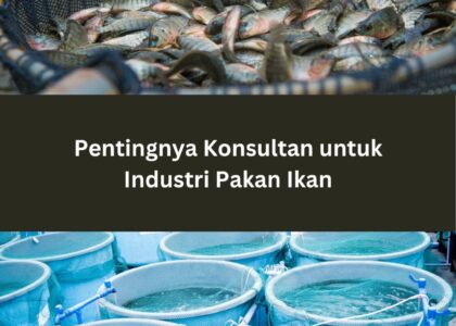 Pentingnya Konsultan untuk Industri Pakan Ikan